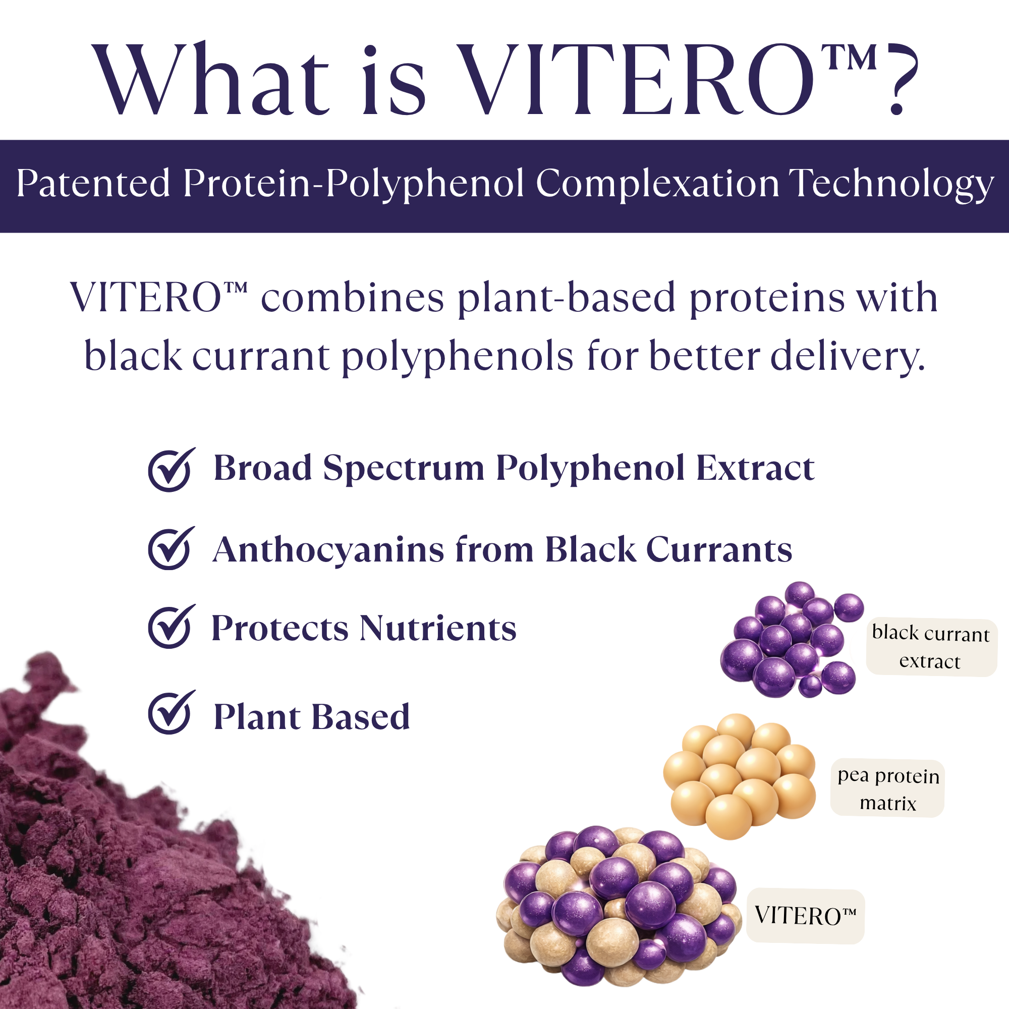 Immunity 8-Pack NOORA Blends